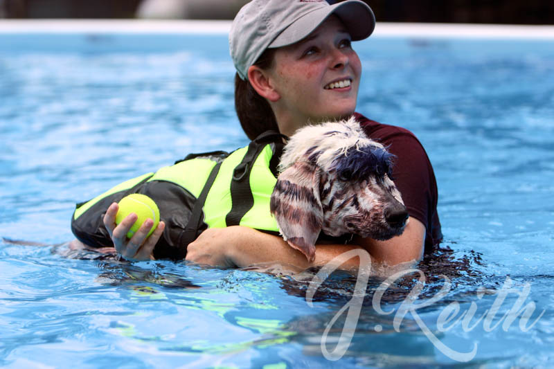 A training session with the expert trainers in the Splash Paws Pools hosted by Animal Crackers Boarding & Grooming