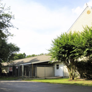 Side View of the kennel runs at Animal Crackers Boarding & Grooming in Spring Texas